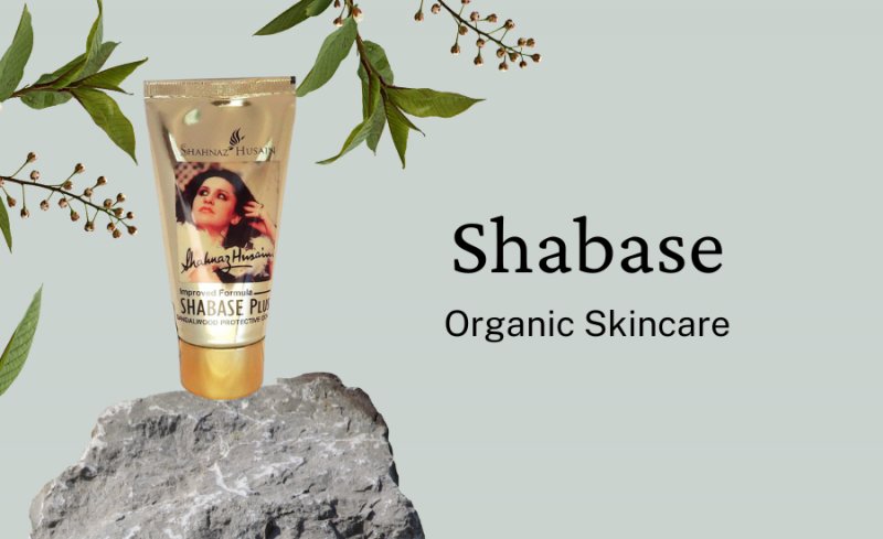 Unveiling the Secrets of Shabase