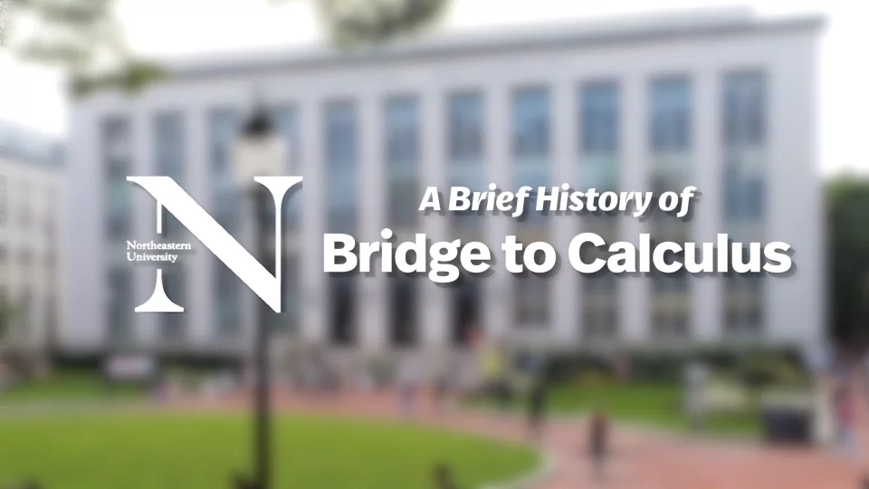 bridge to calculus