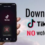 download tiktok videos without a watermark: