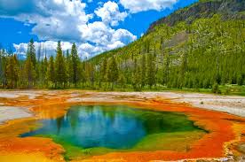 Discovering Yellowstone National Park: Nature's Greatest Wonder